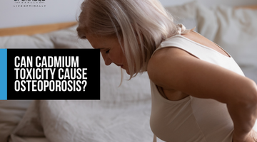 Can Cadmium Toxicity Cause Osteoporosis?