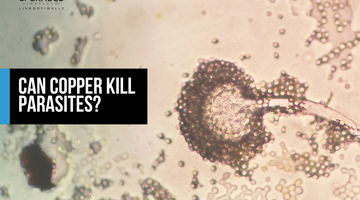 Can Copper Kill Parasites?