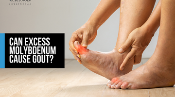 Can Excess Molybdenum Cause Gout?