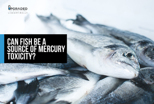 Can Fish Be A Source Of Mercury Toxicity?