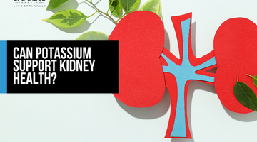 Can Potassium Support Kidney Health?