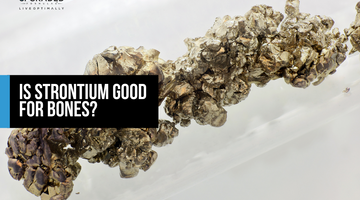 Is Strontium Good For Bones?