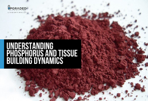 Understanding Phosphorus and Tissue Building Dynamics