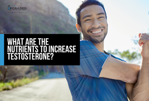 What Are The Nutrients To Increase Testosterone?