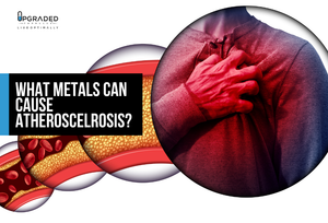 What Metals Can Cause Atheroscelrosis?